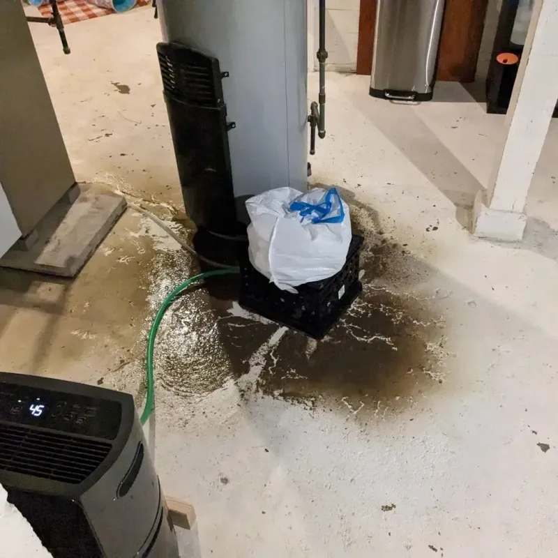 Sewage Backup Cleanup Service in Littlerock, CA
